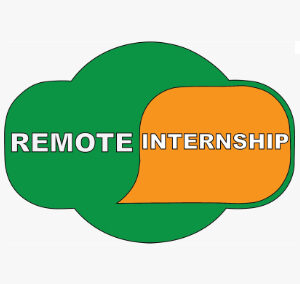 Remote Internship
